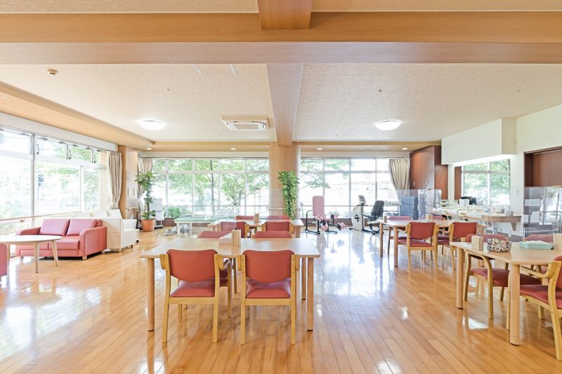 Elderly Renovation Service in Alpharetta, GA